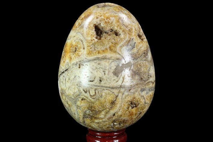 Polished Calcite Egg With Fossils In Cross Section - Madagascar #88726